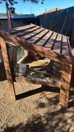 Bird or bunny cage