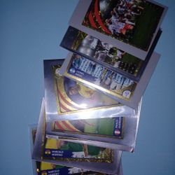 Copa America 2024 Panini Stickers