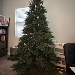 Free 7ft Christmas Tree