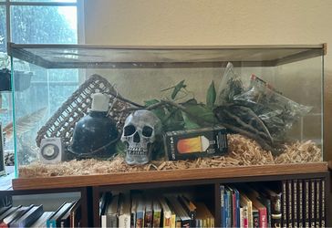 Snake/reptile TERRARIUM w/ ACCESSORIES