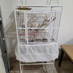 Bird 2 Cage 