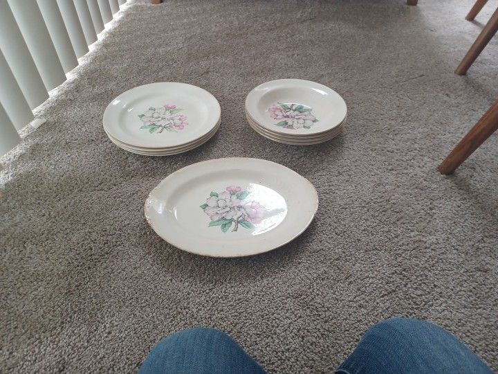 Antique Plates