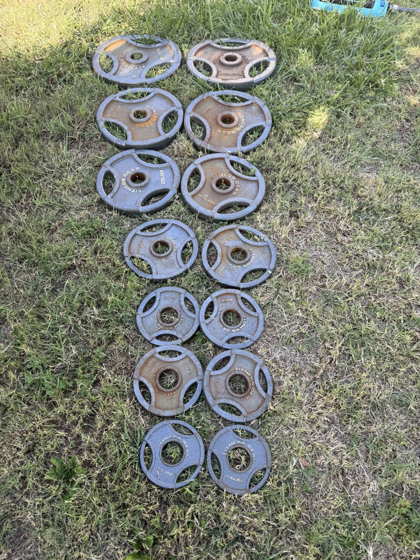 Olympic Plates Weight Set 