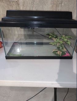 Fish Tank With Filter And Accessories 