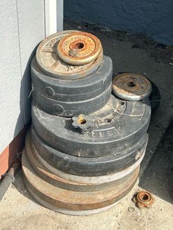 Gym weights plates