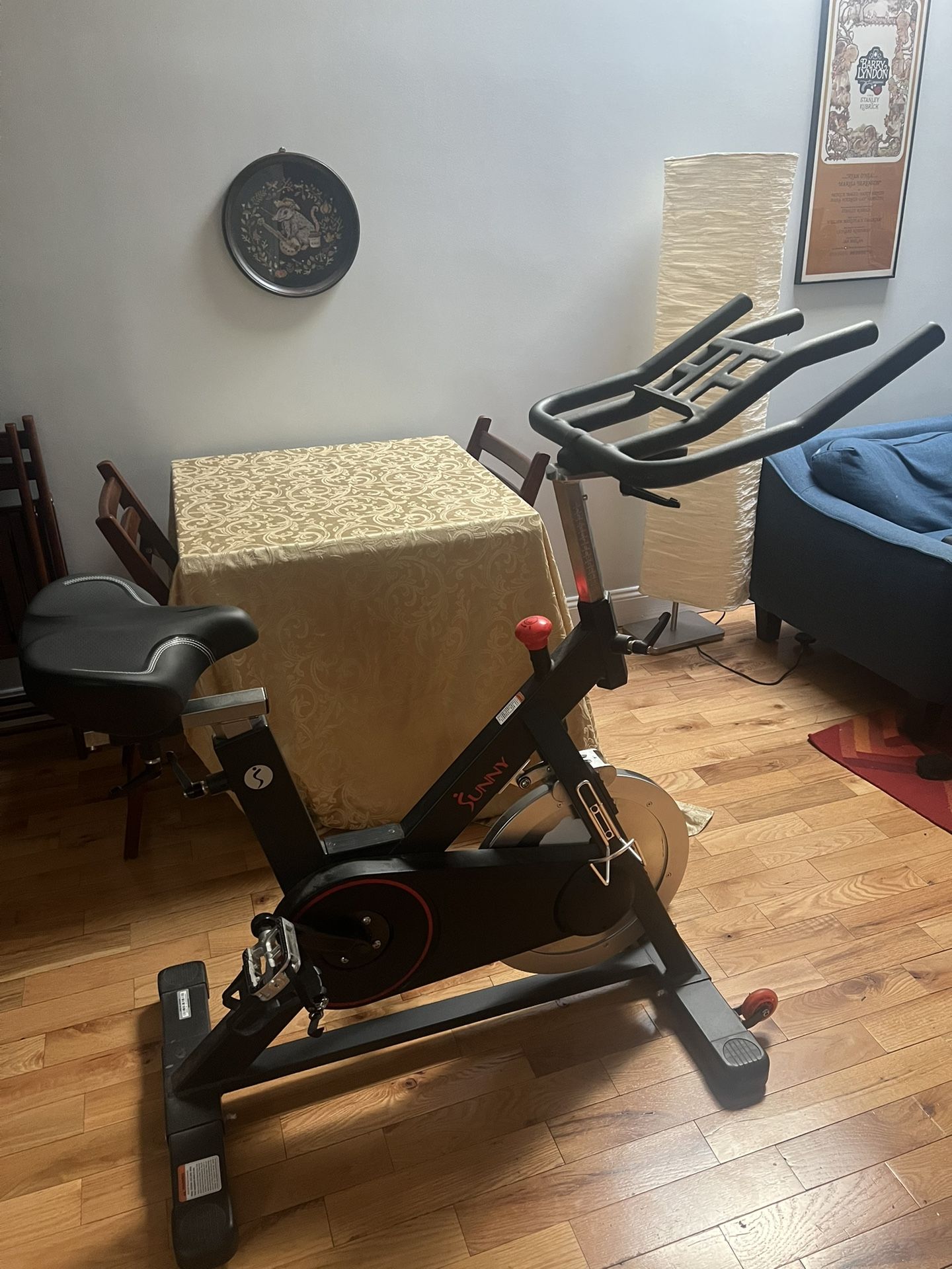 Sunny Fitness Indoor Bike
