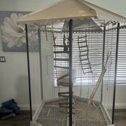 Bird Cage 