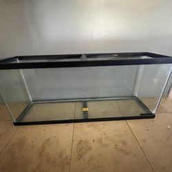 55 Gallon Fish Tank W Accessories 