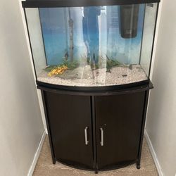Fish Tank 50 Gallon (not Cabinet)