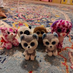 Beanie Boos