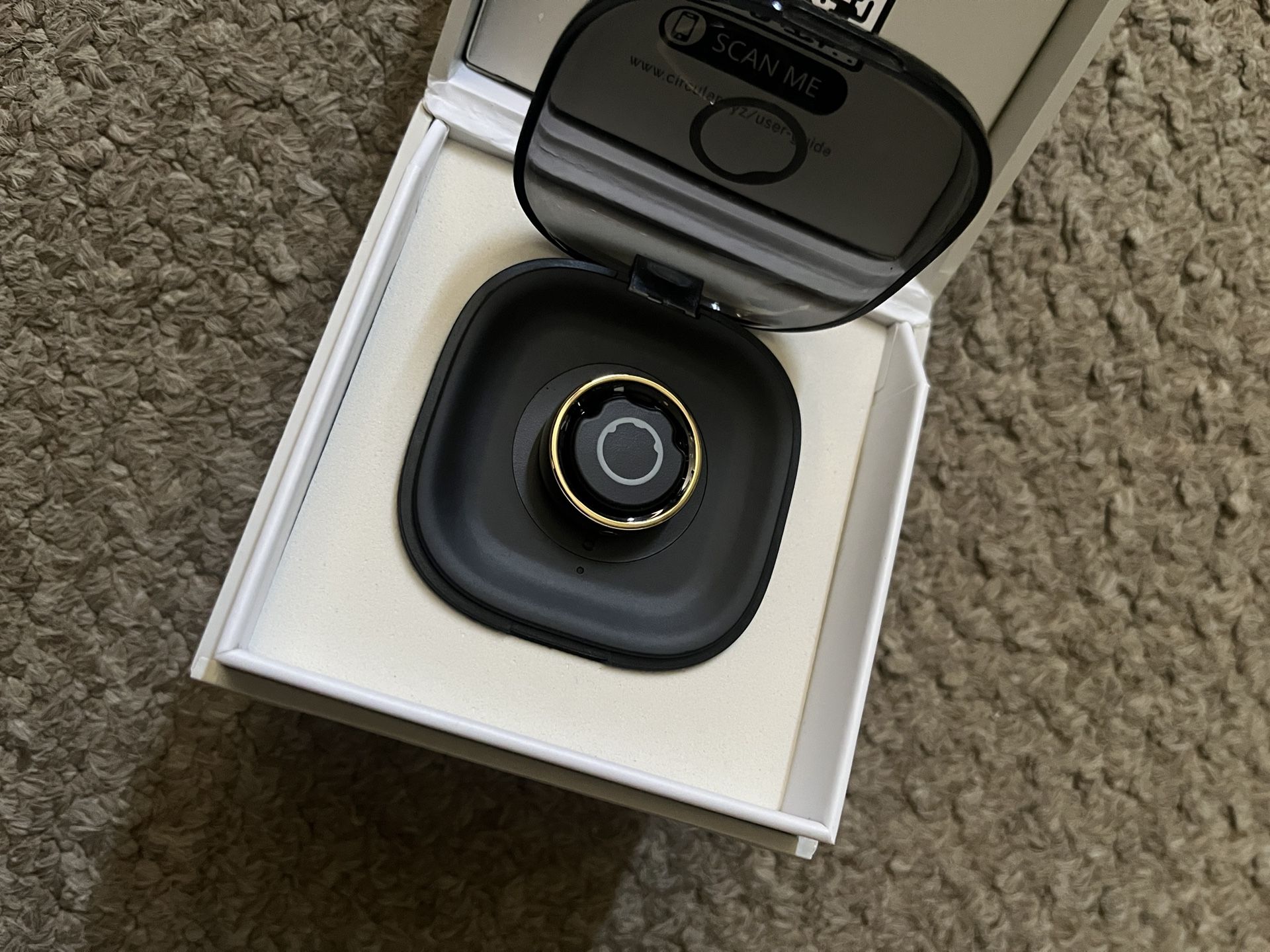 Circular Ring 2 - Gold