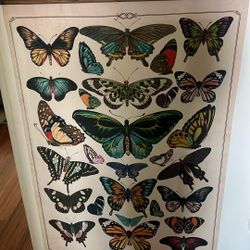 Butterfly Wall Art