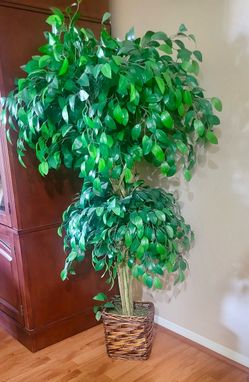 Artificial Plants