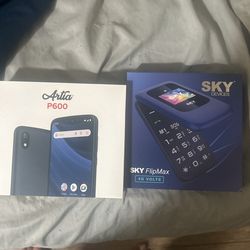 Artia P600 / Sky FlipMax 