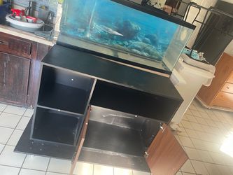 75 gallon Large Glass Aquarium with Cabinet Stand
