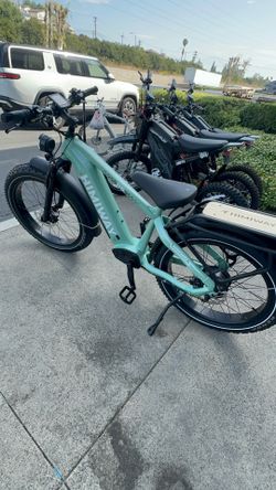 D5(Zebra) / All-terrain Electric Fat Bike