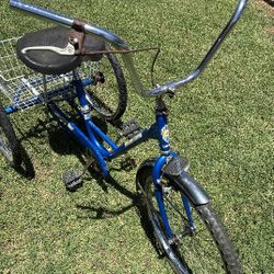 MIAMI SUN TRIKE
