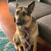 Amy