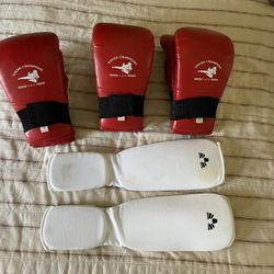 Karate Mitts Shin Guards 