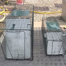 Animal Trap