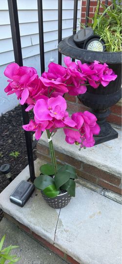 Faux Orchid Plant in Pot