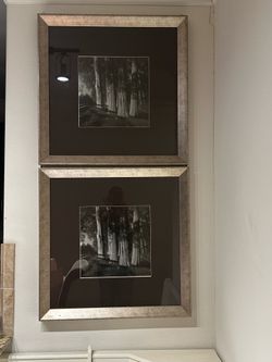2 30X30 inch framed art pieces MUST GO!!! Little Elm PICKIP NEEDED $50