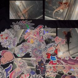 Axolotl Stickers