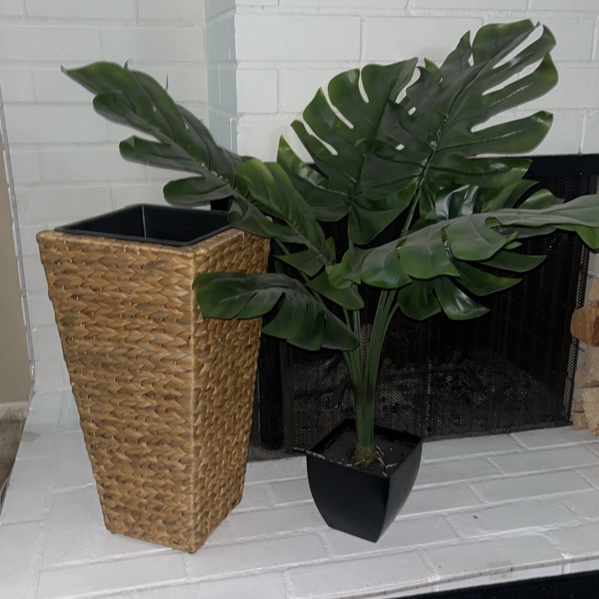 Fake Plant