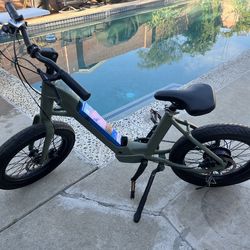 Electric bike