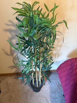 Fake bamboo plant