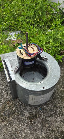 A/C blower motor