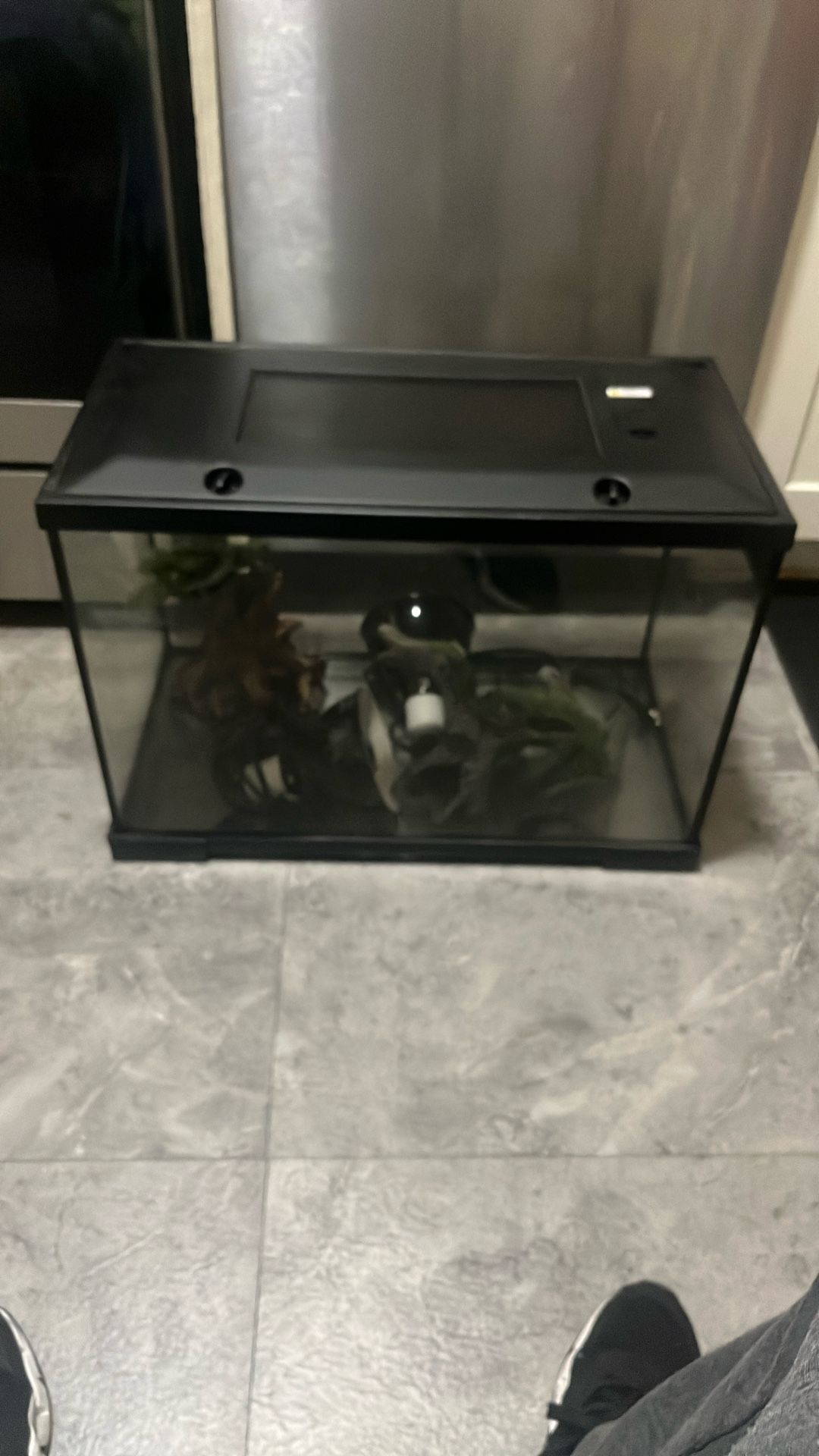 Reptile Tank With Heat Lamps
