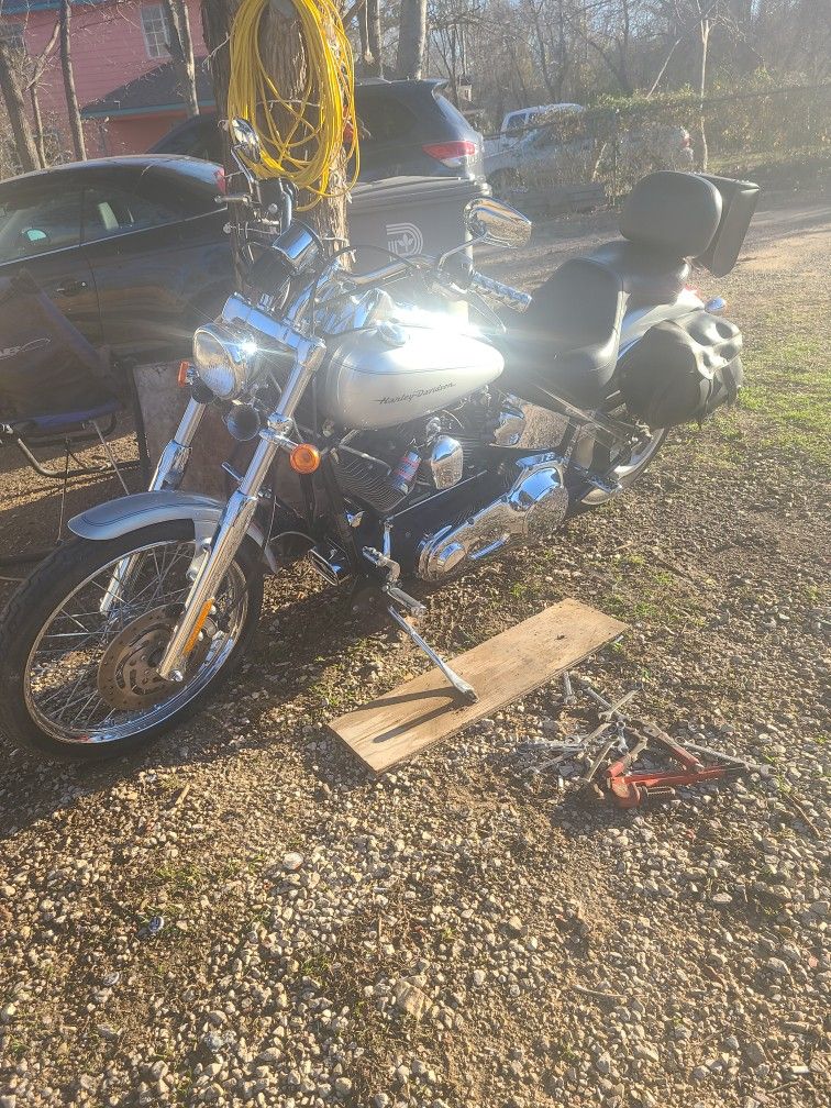 Harley Davison Fxstd