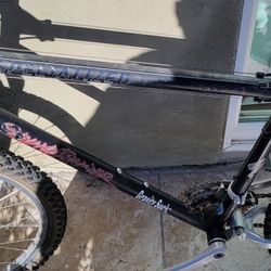 Specialized Mountain Bike 