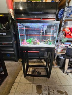 20 gallon fish tank with stand