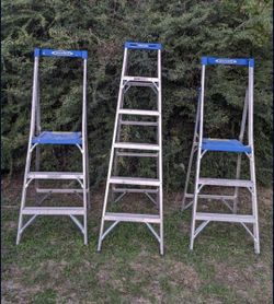 Werner Ladder