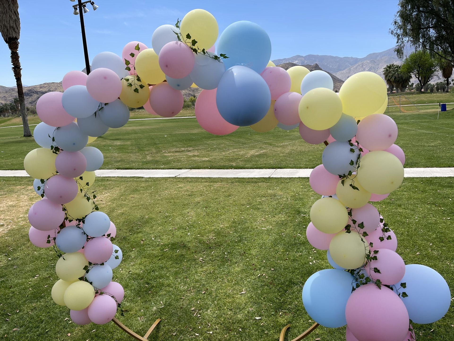 Balloon Arch