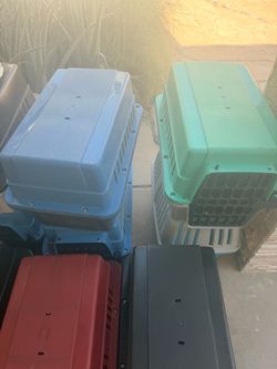 Plastic Pet Travel Carriers – Lot of Several