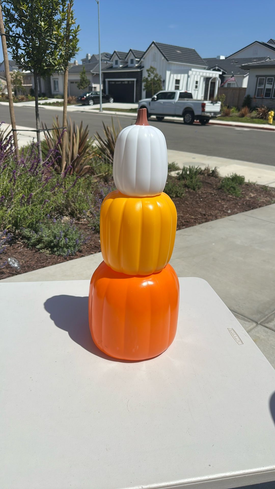 Halloween Decor