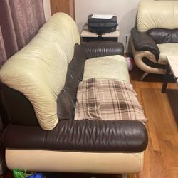 Leather Couch 