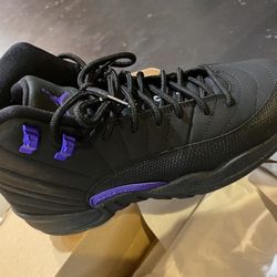 Air jordan 12  Dark Concord 7  - Dead Stock