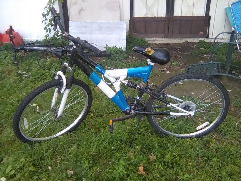 Blue & White Adult Bike