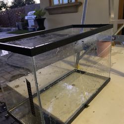 fish tank 