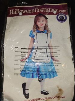Halloween costume size 4T