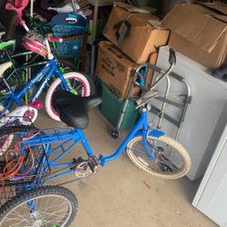 3 Wheel Bike 