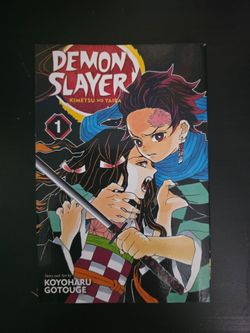Demon Slayer Kimetsu no Yaiba Vol. 1 Manga