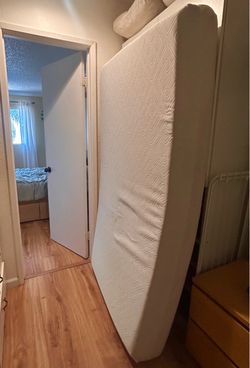 Twin Costco Mattress