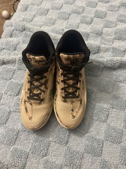 Jason Tatum Nike Shoes 