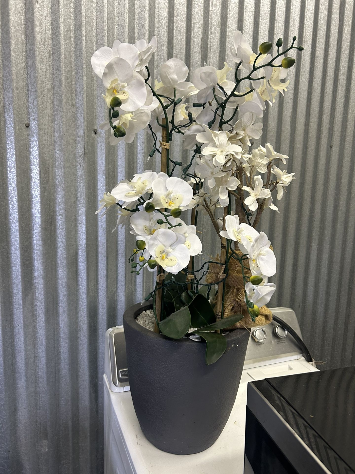 Nice Large Vase W White Flowers