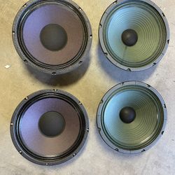 4x10 Guitar Speakers 